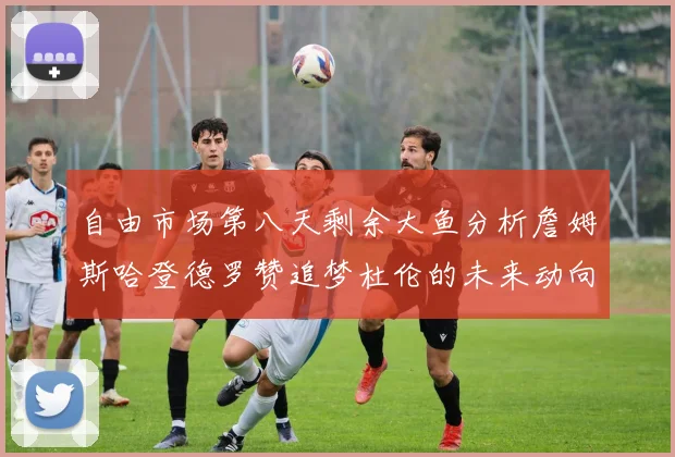 自由市场第八天剩余大鱼分析詹姆斯哈登德罗赞追梦杜伦的未来动向