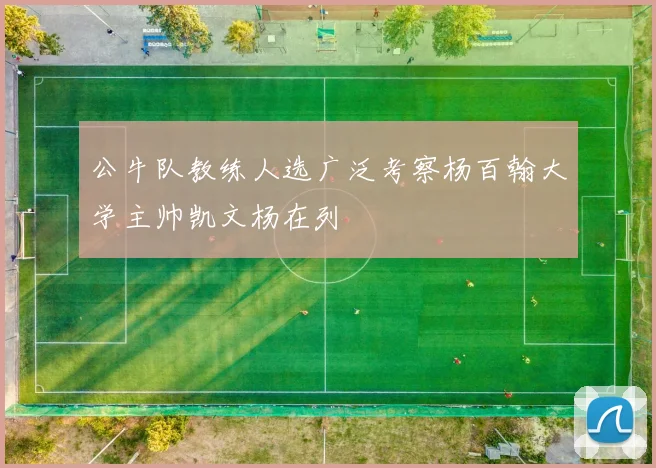 公牛队教练人选广泛考察杨百翰大学主帅凯文杨在列