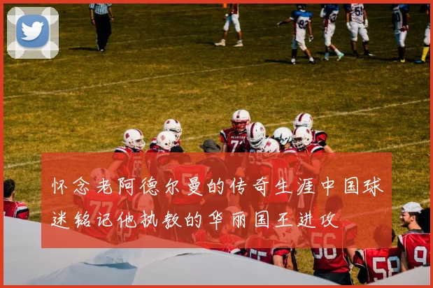 怀念老阿德尔曼的传奇生涯中国球迷铭记他执教的华丽国王进攻